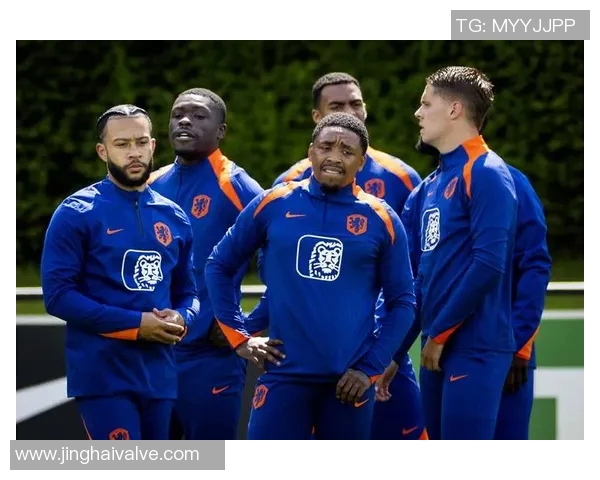 荷兰足球明星颜值与实力并存的魅力之旅