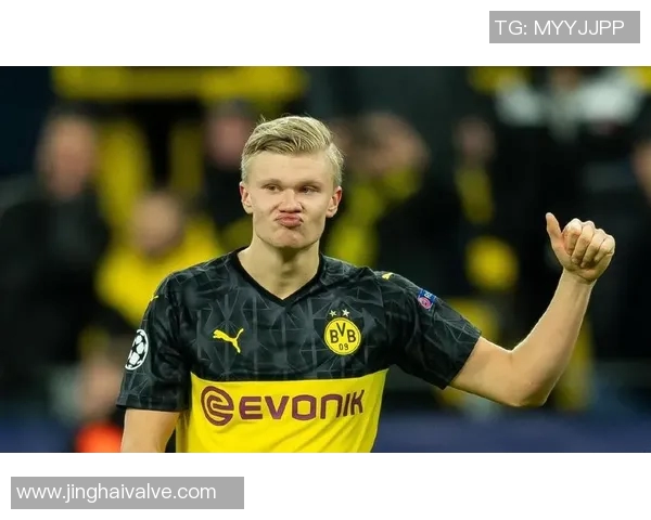 哈兰德：从挪威天才到欧洲足坛新星的崛起之路