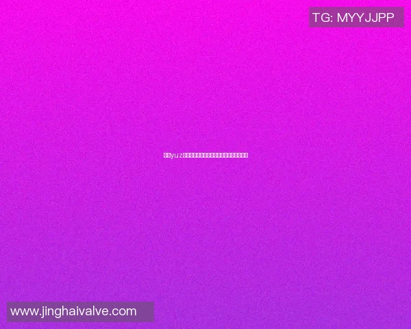 探索yuz篮球明星的成长之路与辉煌成就背后的故事