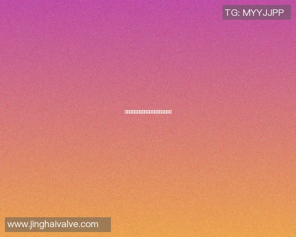 沈阳女篮球明星的成长之路与辉煌成就揭秘 沈阳女篮球明星的成长之路与辉煌成就揭秘