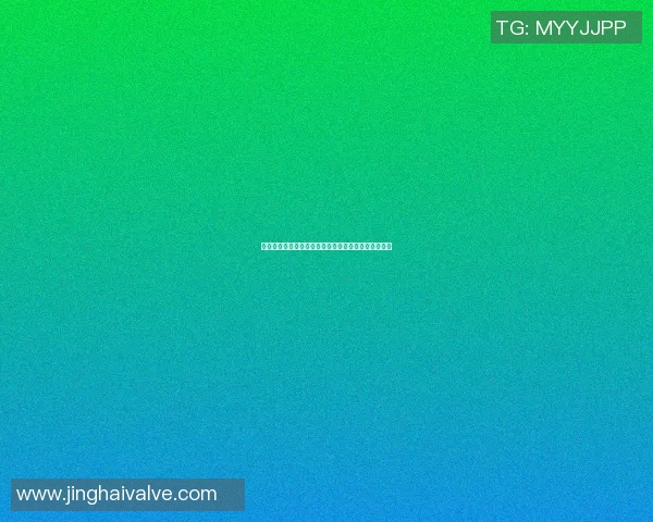 篮球明星二十公分的传奇身高与球场上的辉煌成就解析