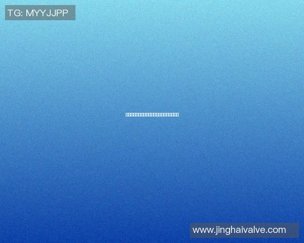 篮球明星张杰的辉煌历程与赛场背后的故事揭秘