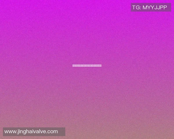 篮球明星孙悦的成长历程与职业生涯全景回顾